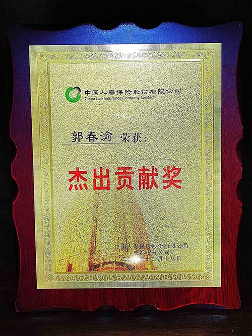 郭春渝中国人寿杰出贡献奖